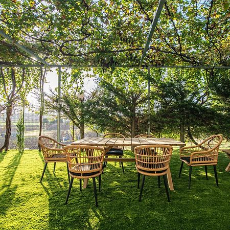 Iviskos Apartment Oinofyta Dış mekan fotoğraf
