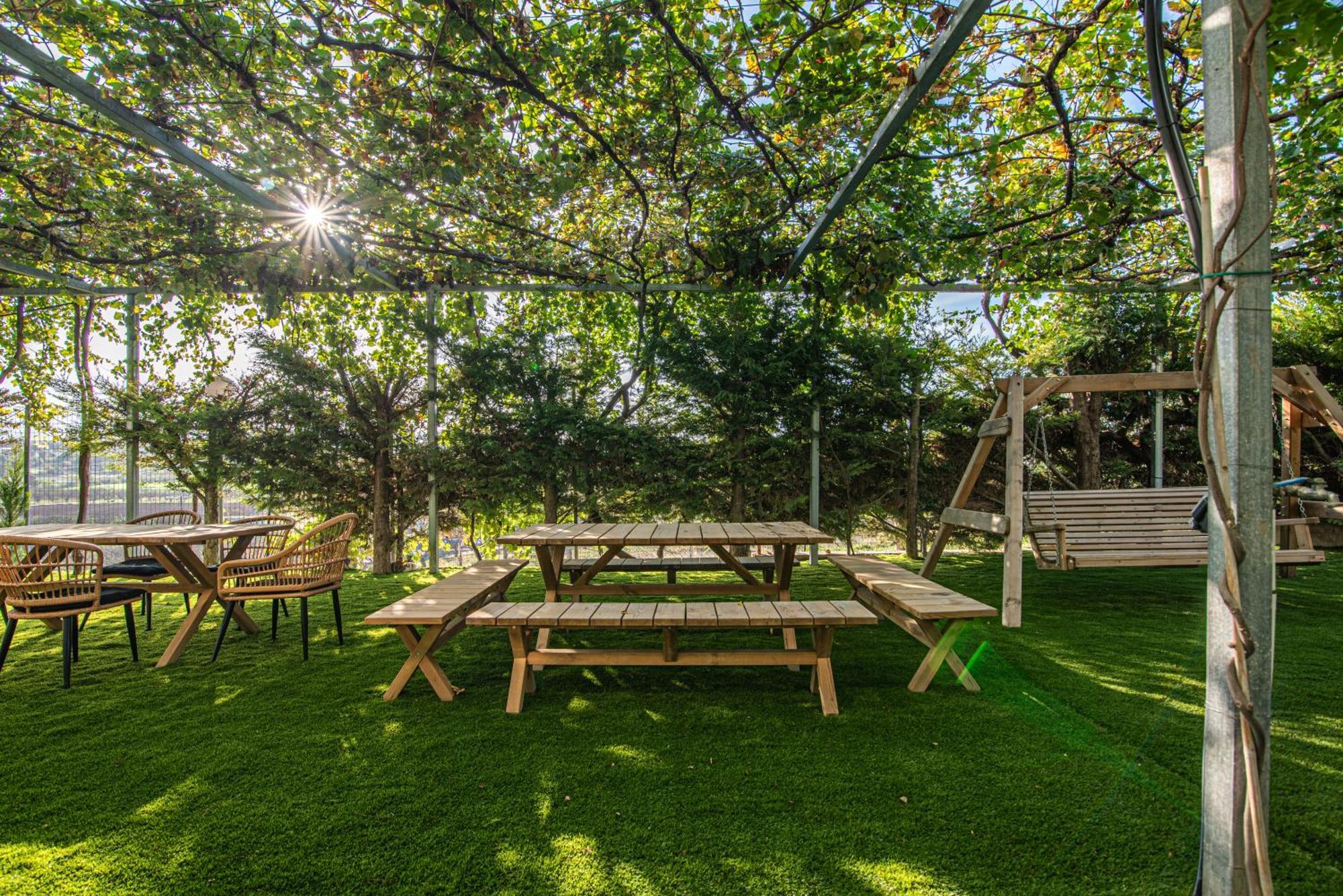 Iviskos Apartment Oinofyta Dış mekan fotoğraf