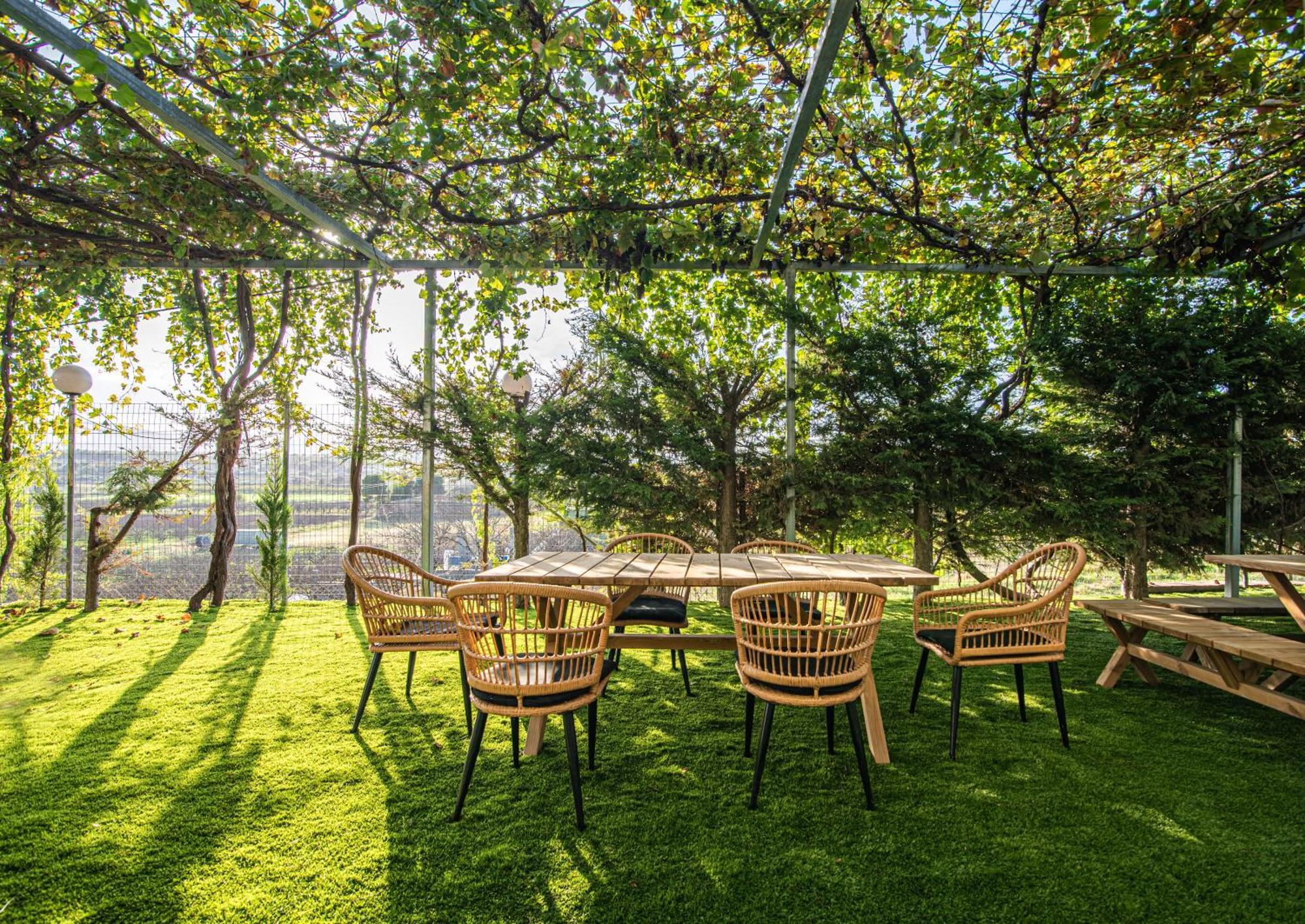 Iviskos Apartment Oinofyta Dış mekan fotoğraf
